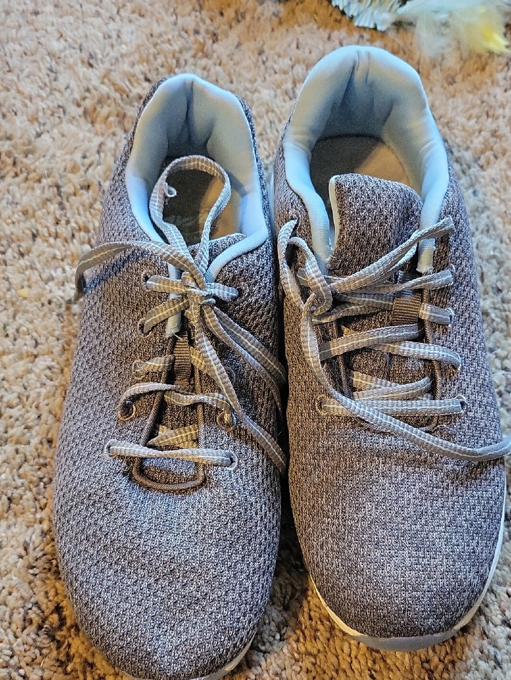 Light Blue & Gray Knit Casual Sneakers By AVIA.   Size 7.5.